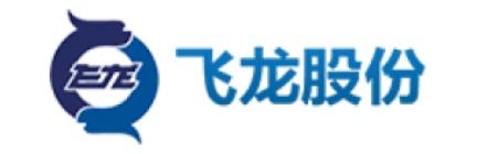 飞龙股份
